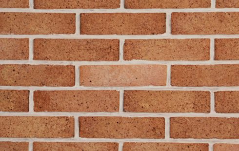 Rustic Facade Brick AR19