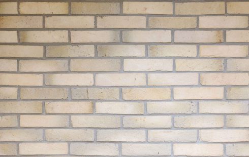 Rustic Facade Brick AR301