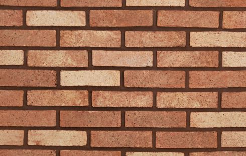 Rustic Facade Brick AR81